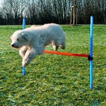 Šifra: 3207
Agility prepona, 115 x 3.3 cm