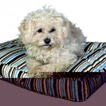 Šifra: 37202
Jastuci za pse "balko", najlon, 90 x 65 x 10 cm