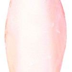 Šifra: 5051
50 sipinih kostiju,12 cm