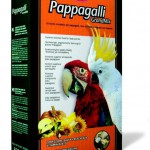 Šifra: PPA0186
Grandmix pappagalli 600g