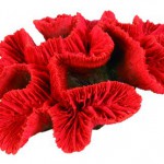 Šifra: 8839
Koral u obliku ruze,16 cm